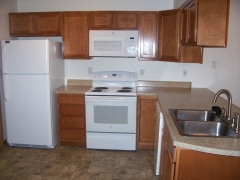 Real Estate - 1101 1103 1105 1107 Hamilton, Kirksville, Missouri - Kitchen