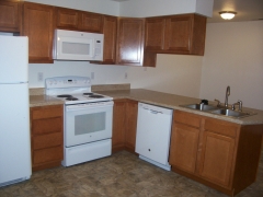 Real Estate - 1101 1103 1105 1107 Hamilton, Kirksville, Missouri - Kitchen